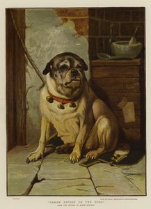 Gooi medicijnen naar de honden